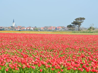 Holiday apartment Vennewei / Lelie - Environment photo 15