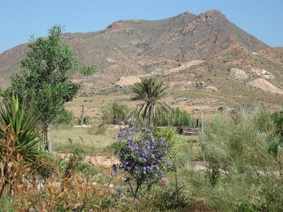 Holiday house park Haus La Iglesia - Environment photo 12