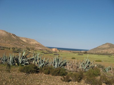 Holiday house park Haus La Iglesia - Environment photo 14