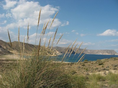 Holiday house park Haus La Iglesia - Environment photo 16