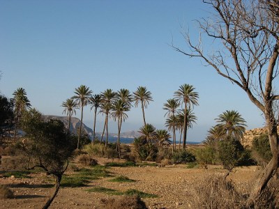 Holiday house park Haus La Iglesia - Environment photo 17