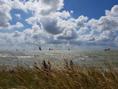 Holiday house Holiday Home in Stavoren with Jetty - Environment photo 26