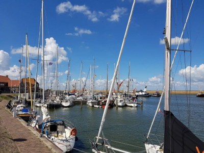 Holiday house Holiday Home in Stavoren with Jetty - Environment photo 31