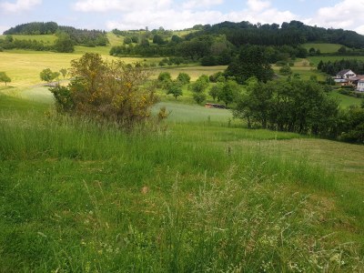 Holiday house Auf dem Berg - Environment photo 16
