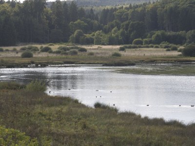 Holiday house Auf dem Berg - Environment photo 17