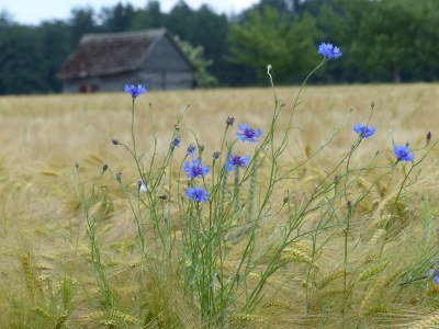 Holiday apartment WERTS HOF | Ferienwohnung 1 - Environment photo 20