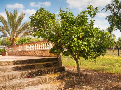 Chalet Son Morro - Outdoor photo 16