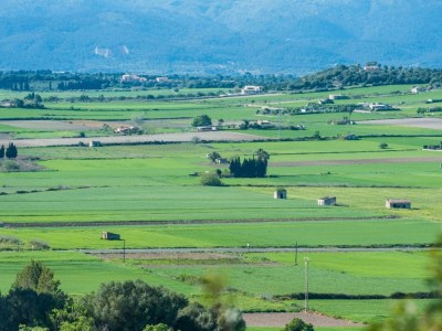 Chalet Son Morro - Environment photo 27