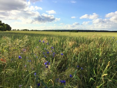 Holiday house cottage Four-Side-Ranch - Outdoor photo 7
