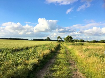 Holiday house cottage Four-Side-Ranch - Outdoor photo 8
