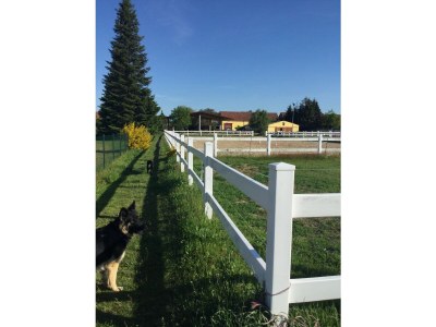 Holiday house cottage Four-Side-Ranch - Outdoor photo 12