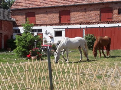 Holiday house cottage Four-Side-Ranch - Outdoor photo 13