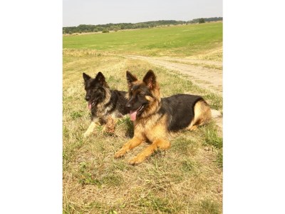 Holiday house cottage Four-Side-Ranch - Outdoor photo 14