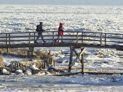Holiday apartment Bals Esbjerg - Environment photo 38