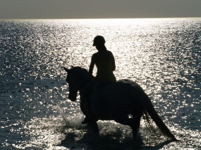 Holiday apartment Bals Esbjerg - Environment photo 39