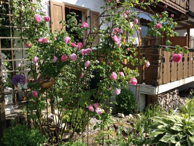 Holiday apartment Apartment "Mona" - Outdoor photo 15