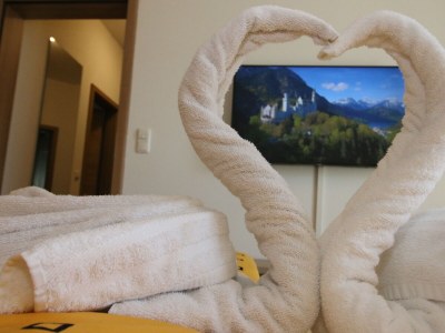 Holiday apartment Alpina Sonnen-Appartements mit XL-Terrasse & Königscard - Features photo 7