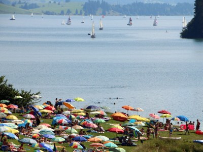 Holiday apartment Alpina Sonnen-Appartements mit XL-Terrasse & Königscard - Environment photo 28
