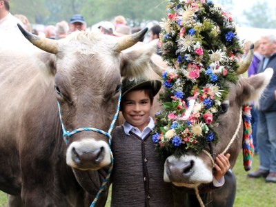 Holiday apartment Alpina Sonnen-Appartements mit XL-Terrasse & Königscard - Environment photo 31