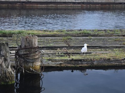 Holiday apartment Schmittat - Environment photo 15