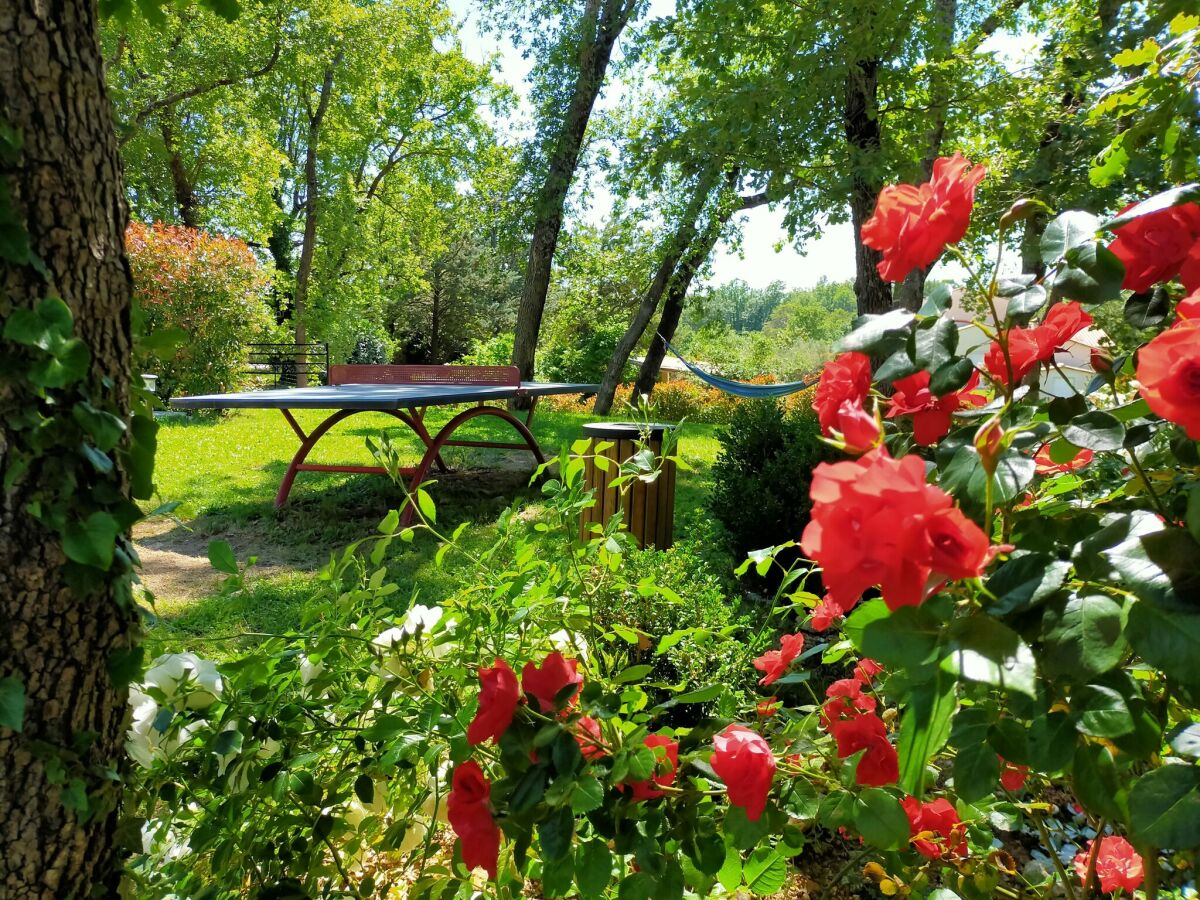 Villa Villa in Montauroux with Pool and Hill Views - Outdoor photo 2