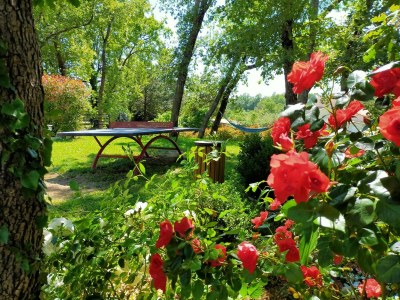 Villa Villa in Montauroux with Pool and Hill Views - Outdoor photo 2