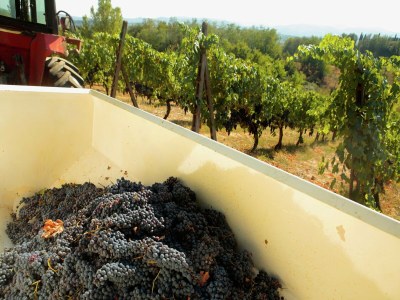 Holiday house Geräumiges Bauernhaus in Terranuova Bracciolini mit Pool - Environment photo 26