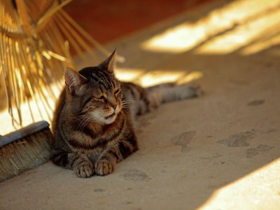Holiday house Geräumiges Bauernhaus in Terranuova Bracciolini mit Pool - Outdoor photo 34