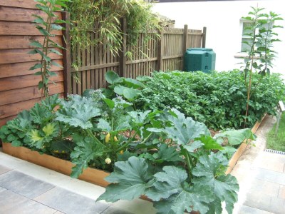 Holiday house Lichtberg 1 - Outdoor photo 7