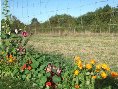 Holiday house Lichtberg 2 - Outdoor photo 10