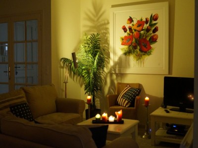 Villa Riviera Villa Near Cannes - Features photo 13