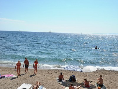 Villa Riviera Villa Near Cannes - Environment photo 36