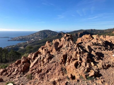 Villa Riviera Villa Near Cannes - Environment photo 38