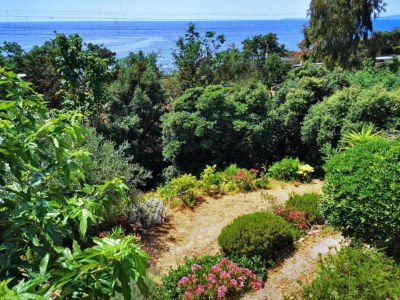 Villa Riviera Villa Near Cannes - Environment photo 39