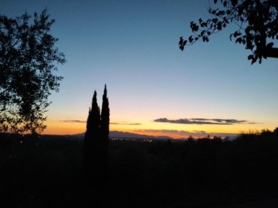 Farmhouse Farmhouse in Vinci's time capsule - Environment photo 28