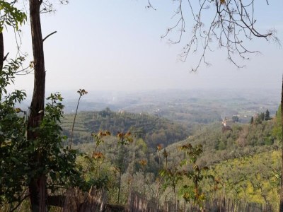 Farmhouse Farmhouse in Vinci's time capsule - Environment photo 30