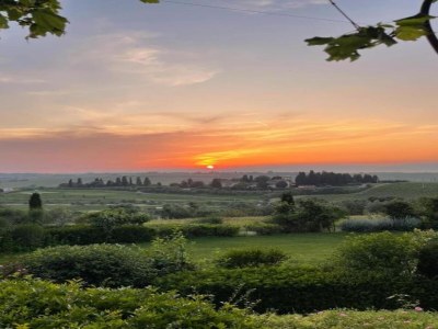Farmhouse Farmhouse in Vinci's time capsule - Environment photo 31