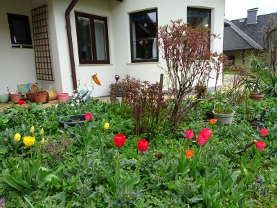 Holiday apartment Ilse  Pesendorfer - Outdoor photo 2