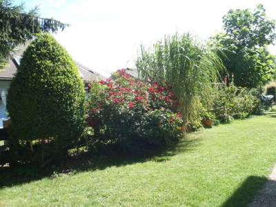 Holiday apartment Ilse  Pesendorfer - Outdoor photo 8