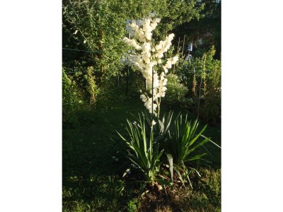 Holiday apartment Ilse  Pesendorfer - Outdoor photo 9