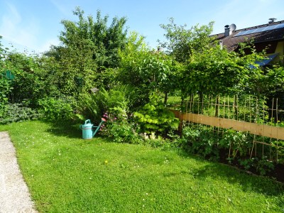 Holiday apartment Ilse  Pesendorfer - Outdoor photo 14