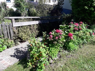 Holiday apartment Ilse  Pesendorfer - Outdoor photo 19