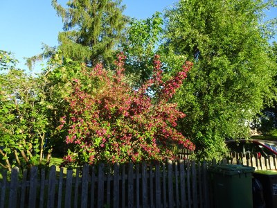 Holiday apartment Ilse  Pesendorfer - Outdoor photo 24