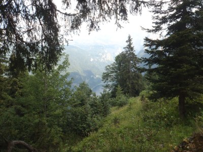 Holiday apartment Ilse  Pesendorfer - Environment photo 32