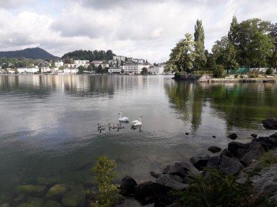 Holiday apartment Ilse  Pesendorfer - Environment photo 37