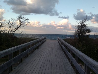 Holiday apartment Pier 17 - Environment photo 13