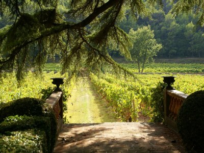 Holiday house Ferienhaus in Var mit Privatpool - Environment photo 22