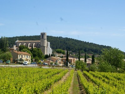 Holiday house Ferienhaus in Var mit Privatpool - Environment photo 23