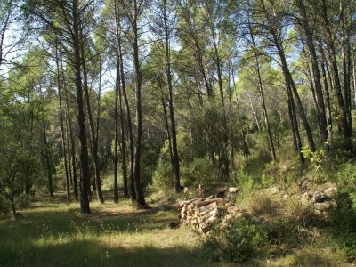 Holiday house Ferienhaus in Var mit Privatpool - Environment photo 28