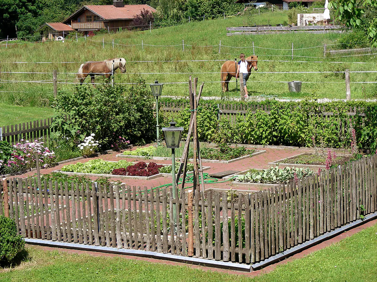 Holiday apartment Alter Ledererhof - Outdoor photo 4